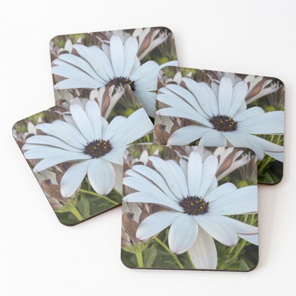 Item preview, Soft and Pure designed and sold by Betsy Phillips.