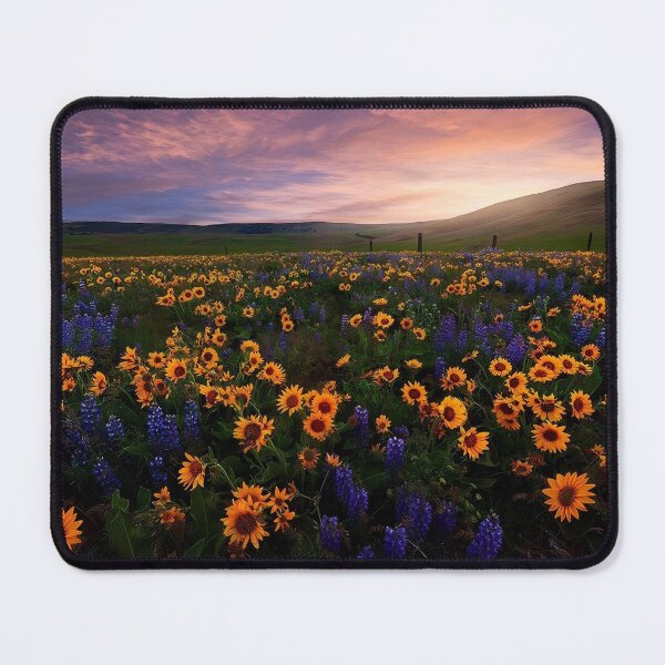 Item preview, Flower field at sunset designed and sold by AmilieMay.
