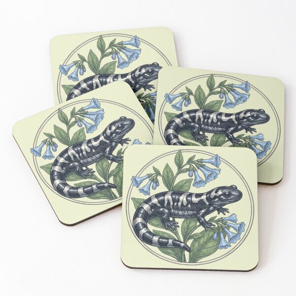 Item preview, Marbled Salamander with Virginia Bluebells Vintage Natural History Art designed and sold by BirdsnStuff.
