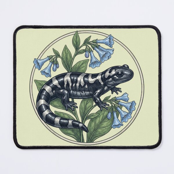 Item preview, Marbled Salamander with Virginia Bluebells Vintage Natural History Art designed and sold by BirdsnStuff.