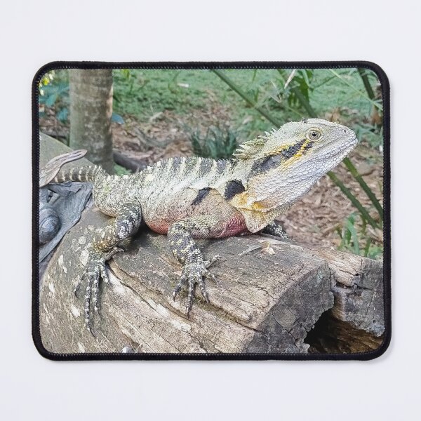 Item preview, Happy Lizard designed and sold by bbKreativo.