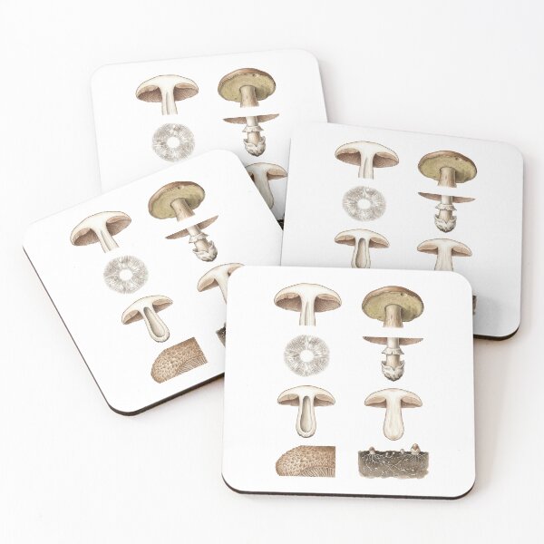 Item preview, Mushroom Anatomy Cross-Section designed and sold by ArunDandiboina.