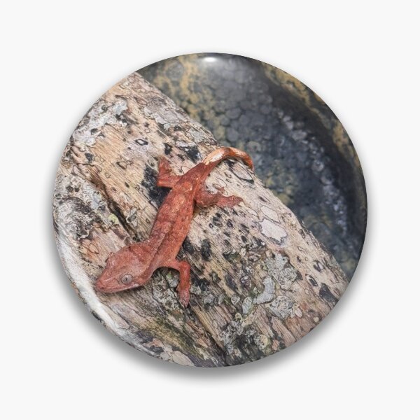 Item preview, Red crested designed and sold by Ricisshop.