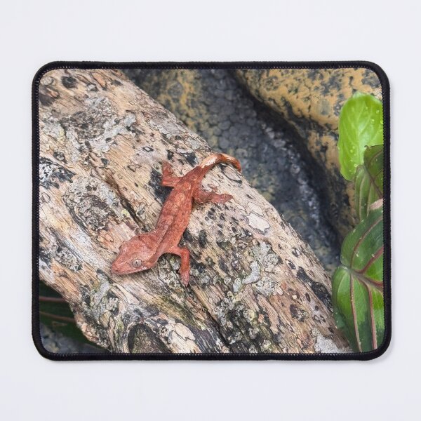 Item preview, Red crested designed and sold by Ricisshop.