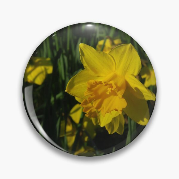 Item preview, Daffodils designed and sold by wiggyofipswich.