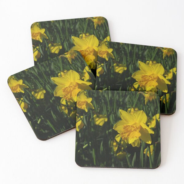 Item preview, Daffodils designed and sold by wiggyofipswich.