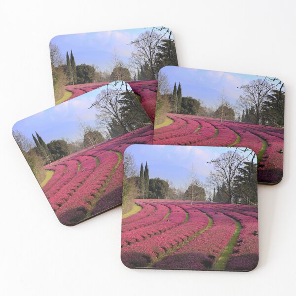 Item preview, The Costermano German Military Cemetery designed and sold by annalisa56.