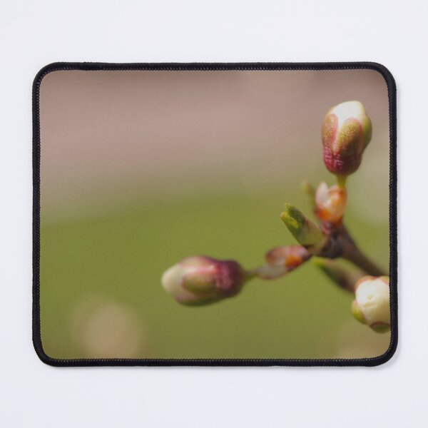 Item preview, Emerging Leaf and Flower Buds close-up - Nature Aesthetic designed and sold by vikko-art.