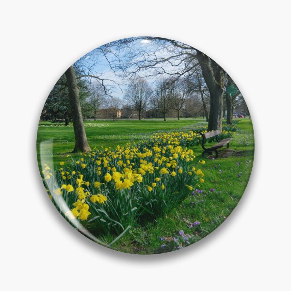 Item preview, The Stray Harrogate Daffodils designed and sold by Alisonchambers2.