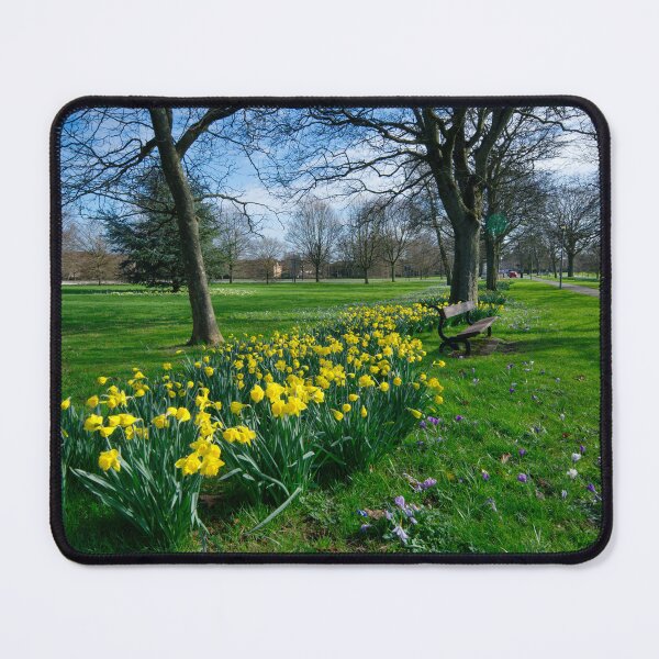 Item preview, The Stray Harrogate Daffodils designed and sold by Alisonchambers2.