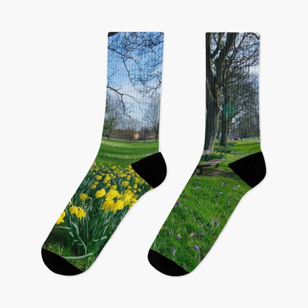 Item preview, The Stray Harrogate Daffodils designed and sold by Alisonchambers2.