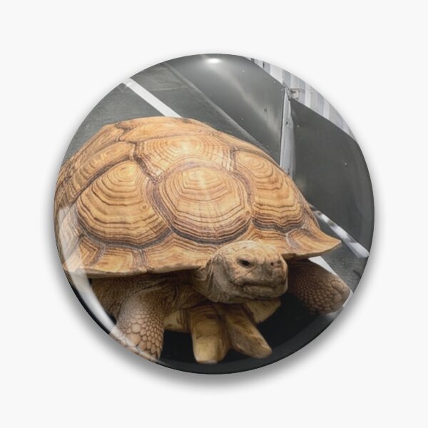 Item preview, Tortuga designed and sold by RiverFong.