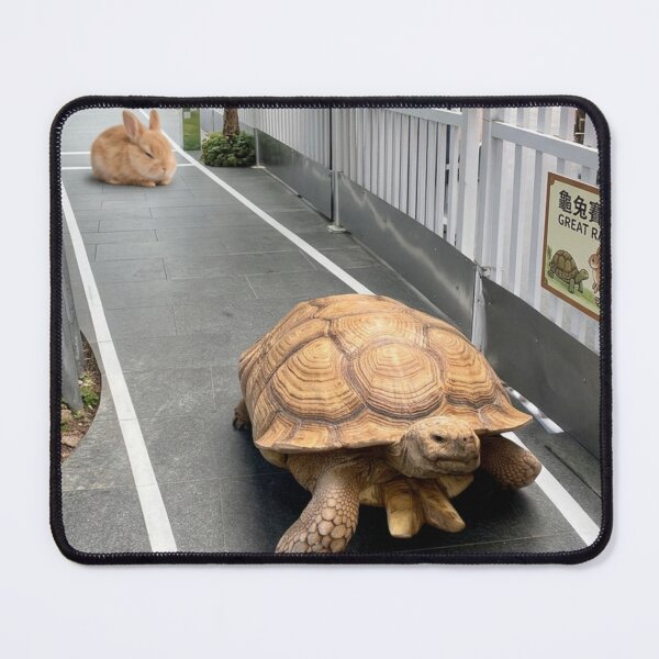 Item preview, Tortoise designed and sold by RiverFong.