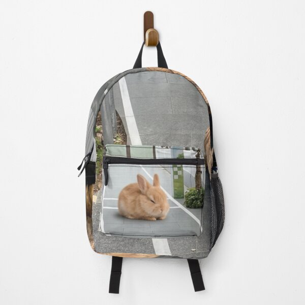 Item preview, Tortoise designed and sold by RiverFong.