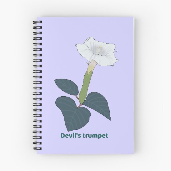 Item preview, Devil's trumpet(Datura metel) designed and sold by Floralfusion.