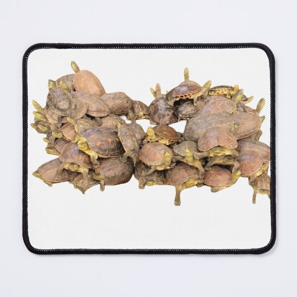 Item preview, Tortoise designed and sold by RiverFong.