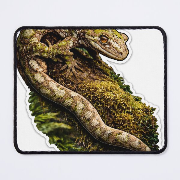 Item preview, Nelson Lakes Gecko Sticker – New Zealand Native Lizard, Moody Forest Wildlife Aesthetic designed and sold by NocturnalNook.