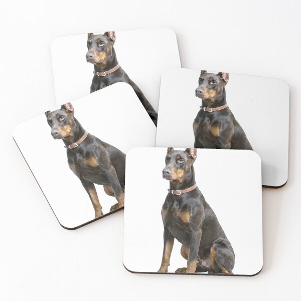 Item preview, Noble Doberman Pinscher Sitting On White Background designed and sold by PholPol1959.