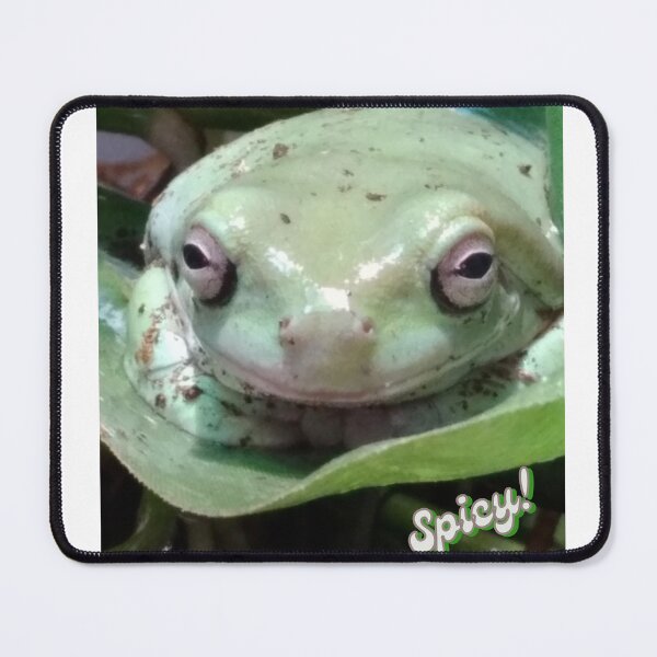 Item preview, Froggy feels Spicy designed and sold by FeelingFroggyUS.