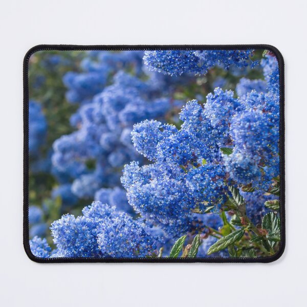 Item preview, blue flowers designed and sold by AmilieMay.