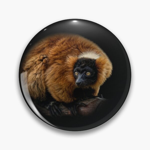 Item preview, Red ruffed Lemur designed and sold by Guardi71.