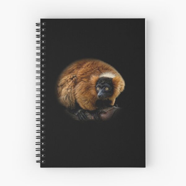 Item preview, Red ruffed Lemur designed and sold by Guardi71.