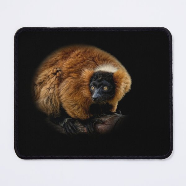 Item preview, Red ruffed Lemur designed and sold by Guardi71.