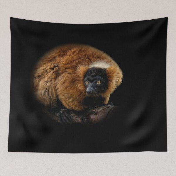 Item preview, Red ruffed Lemur designed and sold by Guardi71.