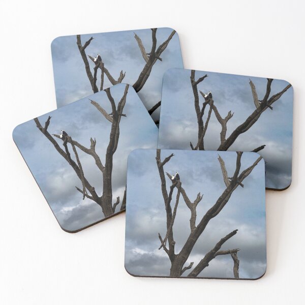 Item preview, Fish Eagles in Tree designed and sold by AGCA22.