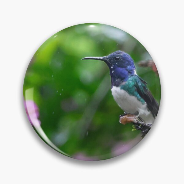 Item preview, White-necked Jacobin designed and sold by Carol Bock.