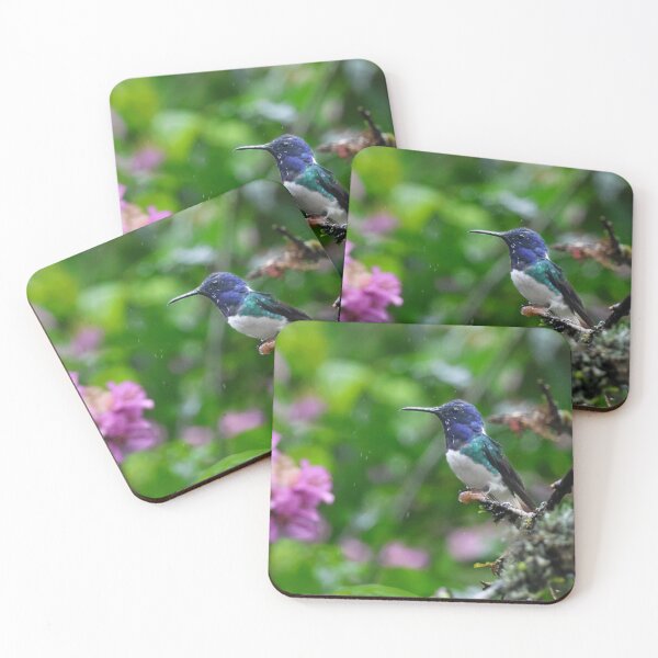 Item preview, White-necked Jacobin designed and sold by Carol Bock.