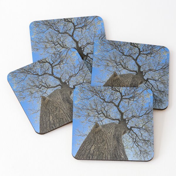 Item preview, Acacia Tree designed and sold by AGCA22.