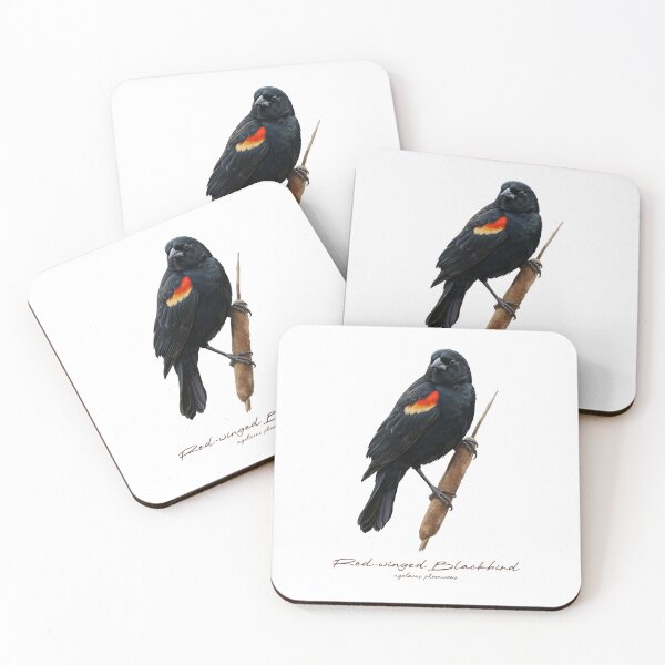 Item preview, Red-winged Blackbird on Cattail designed and sold by Takeda-art.