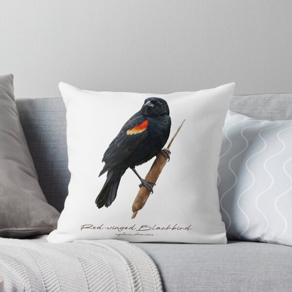 Item preview, Red-winged Blackbird on Cattail designed and sold by Takeda-art.