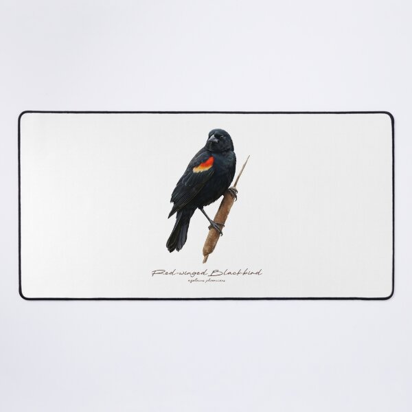 Item preview, Red-winged Blackbird on Cattail designed and sold by Takeda-art.