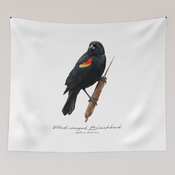 Item preview, Red-winged Blackbird on Cattail designed and sold by Takeda-art.