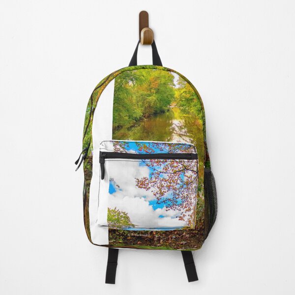 Item preview, Forest Feeder Stream in Autumn, Montgomery County, Pennsylvania designed and sold by AMacGPhilly.