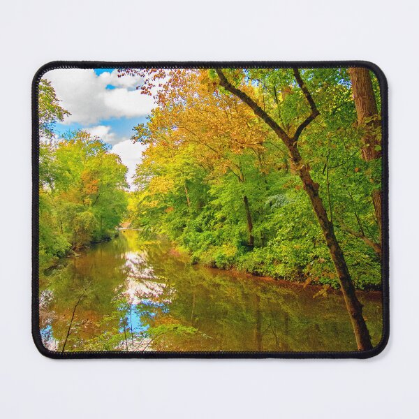 Item preview, Forest Feeder Stream in Autumn, Montgomery County, Pennsylvania designed and sold by AMacGPhilly.