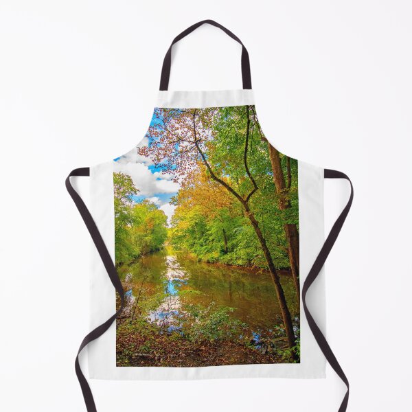 Item preview, Forest Feeder Stream in Autumn, Montgomery County, Pennsylvania designed and sold by AMacGPhilly.