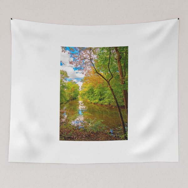 Item preview, Forest Feeder Stream in Autumn, Montgomery County, Pennsylvania designed and sold by AMacGPhilly.