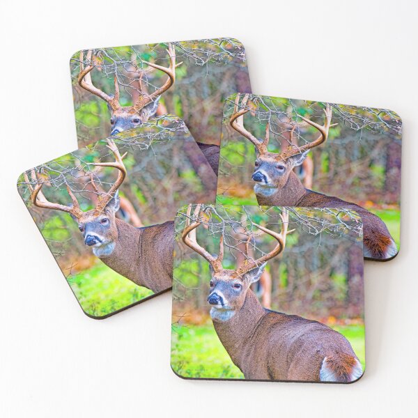 Item preview, White-tailed Deer Buck, Full Antler Rack designed and sold by AMacGPhilly.