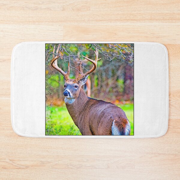 Item preview, White-tailed Deer Buck, Full Antler Rack designed and sold by AMacGPhilly.
