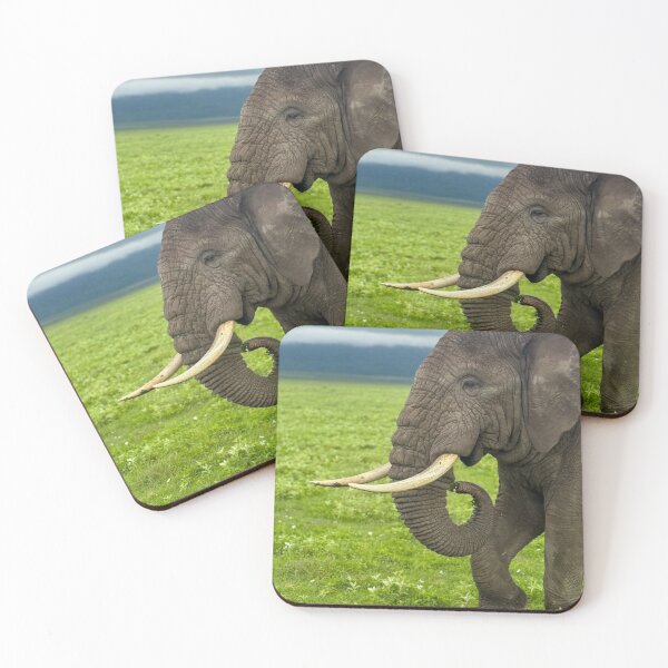 Item preview, Bull Elephant designed and sold by AGCA22.