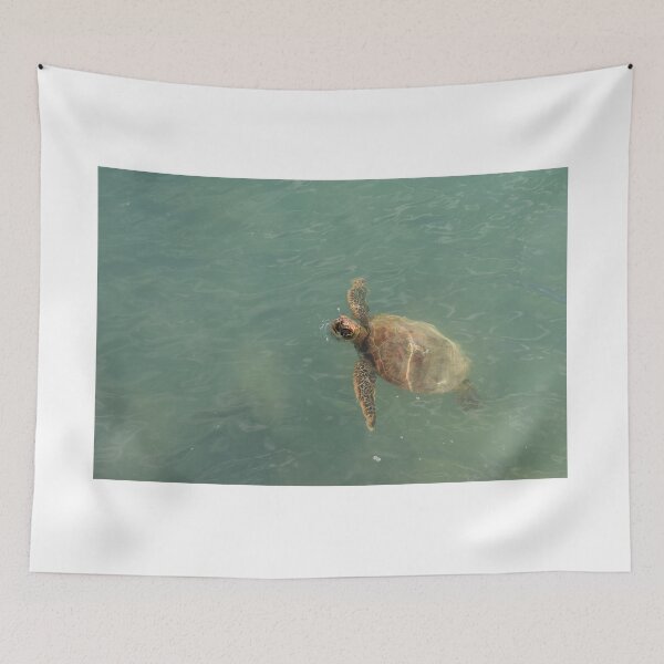 Item preview, Sea Turtle designed and sold by Carol Bock.