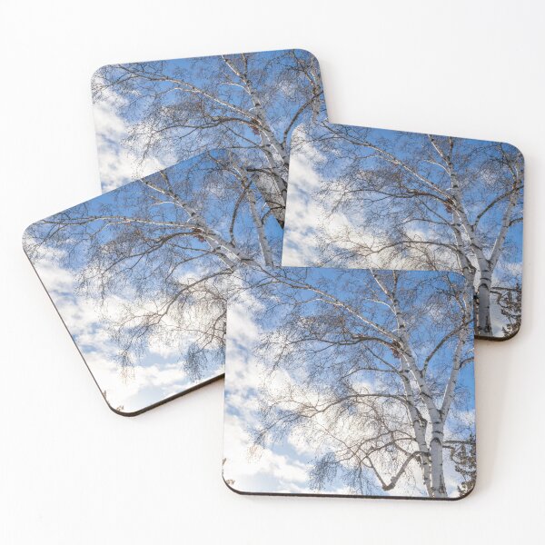 Item preview, Birch Tree Under Clear Blue Sky at Mount Pleasant Cemetery designed and sold by jrtwynam.
