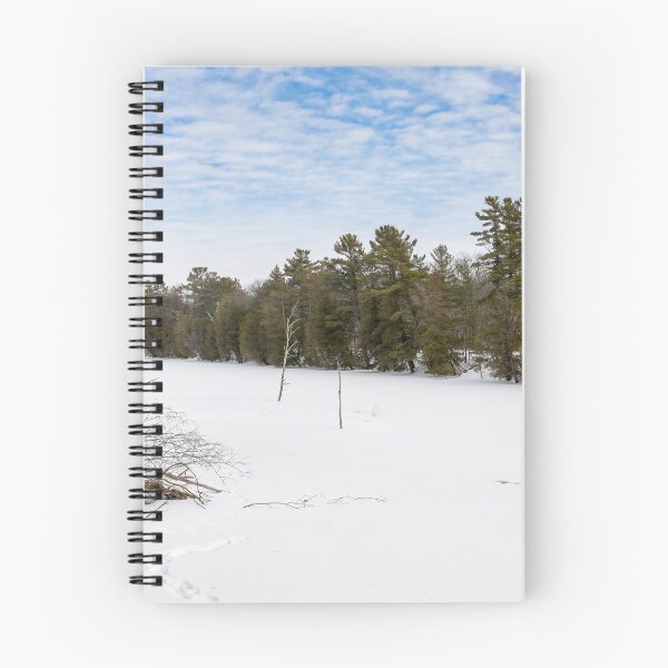 Item preview, Frozen Old Ausable Channel in Pinery Provincial Park, Ontario designed and sold by jrtwynam.