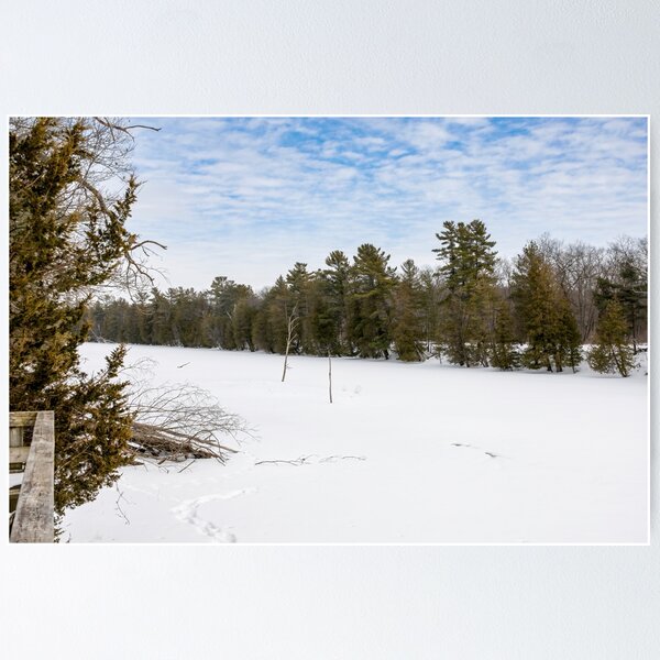Item preview, Frozen Old Ausable Channel in Pinery Provincial Park, Ontario designed and sold by jrtwynam.