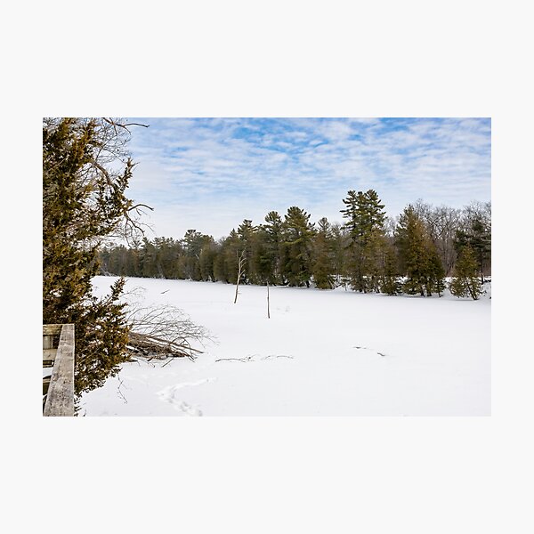 Item preview, Frozen Old Ausable Channel in Pinery Provincial Park, Ontario designed and sold by jrtwynam.