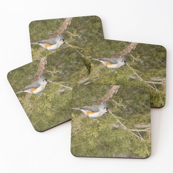 Item preview, Tufted Titmouse in Pinery Provincial Park, Ontario designed and sold by jrtwynam.