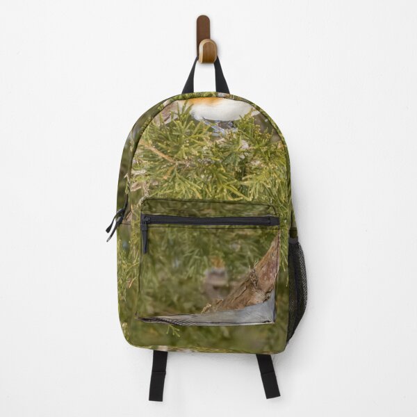 Item preview, Tufted Titmouse in Pinery Provincial Park, Ontario designed and sold by jrtwynam.